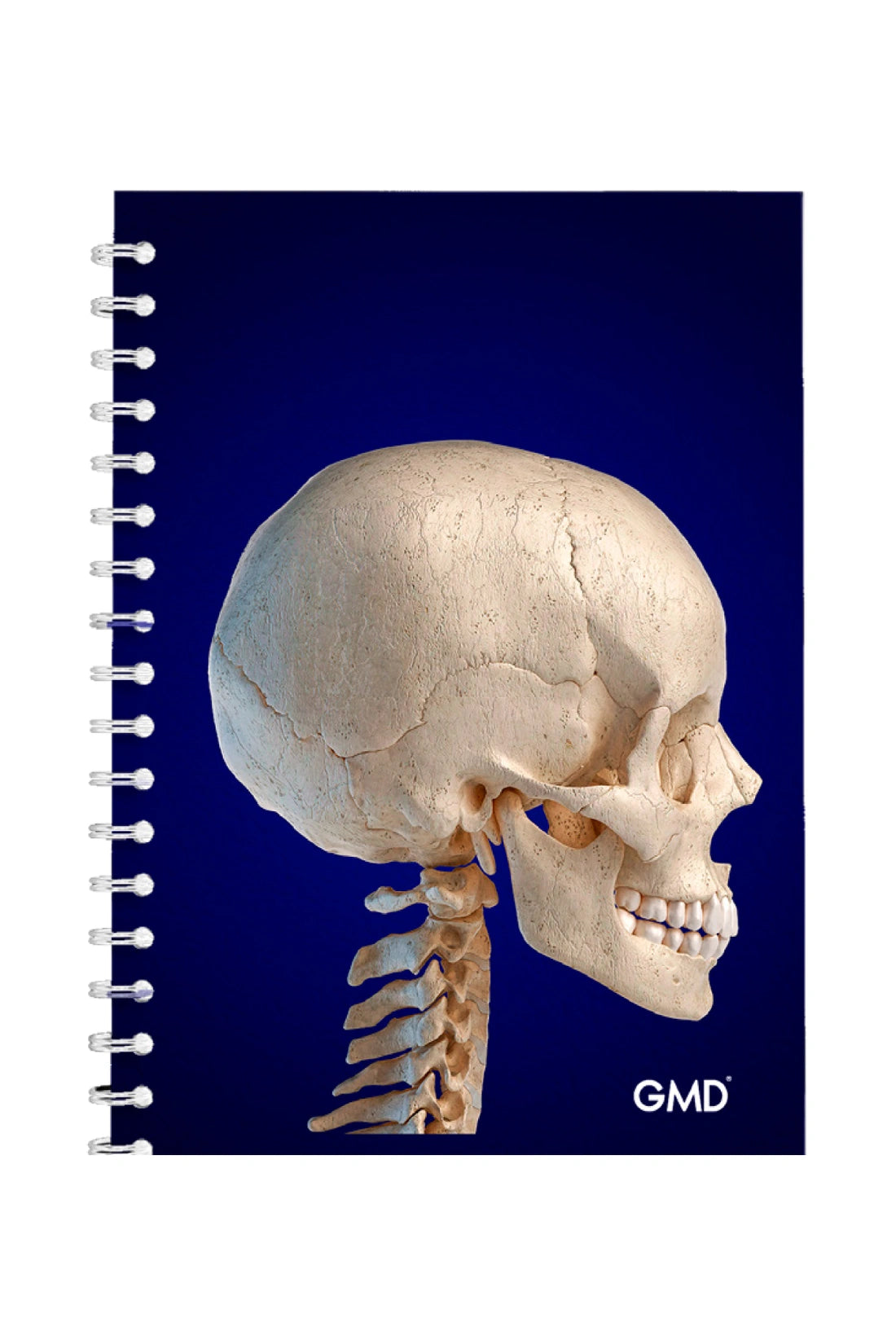 CUADERNO ARGOLL GMD CRANEO VISTA LATERAL