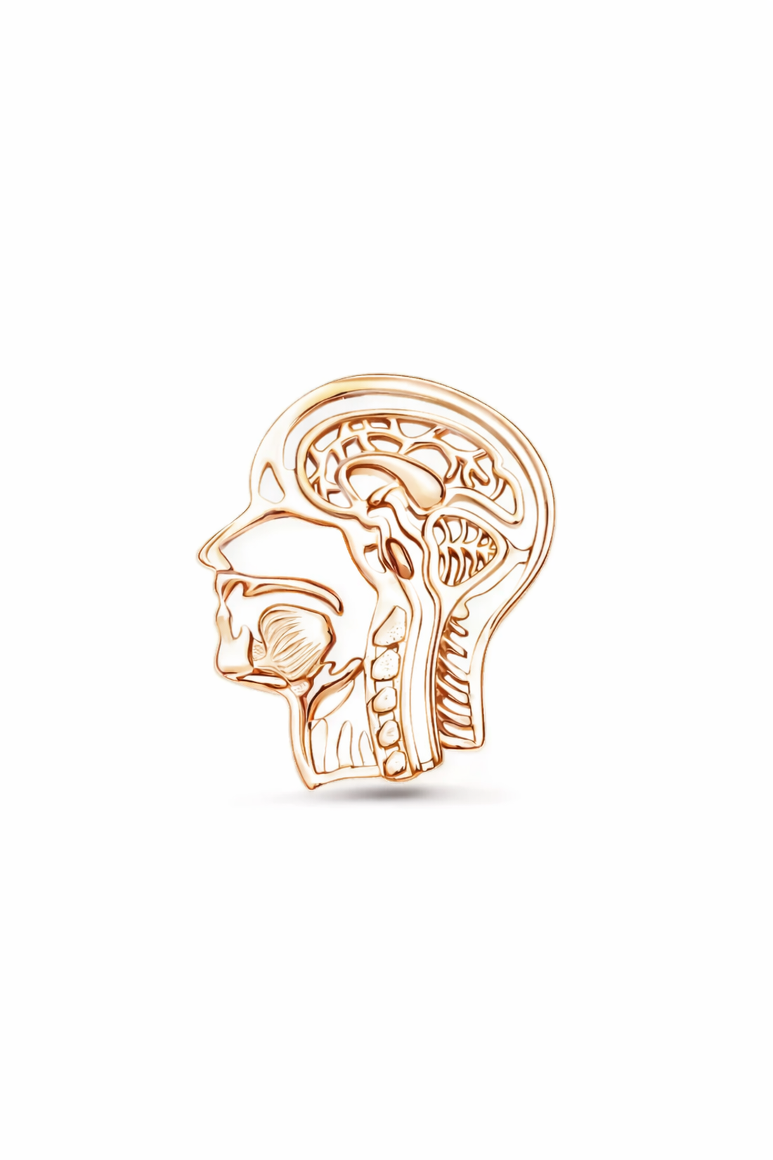 PIN CABEZA Y CUELLO DORADO