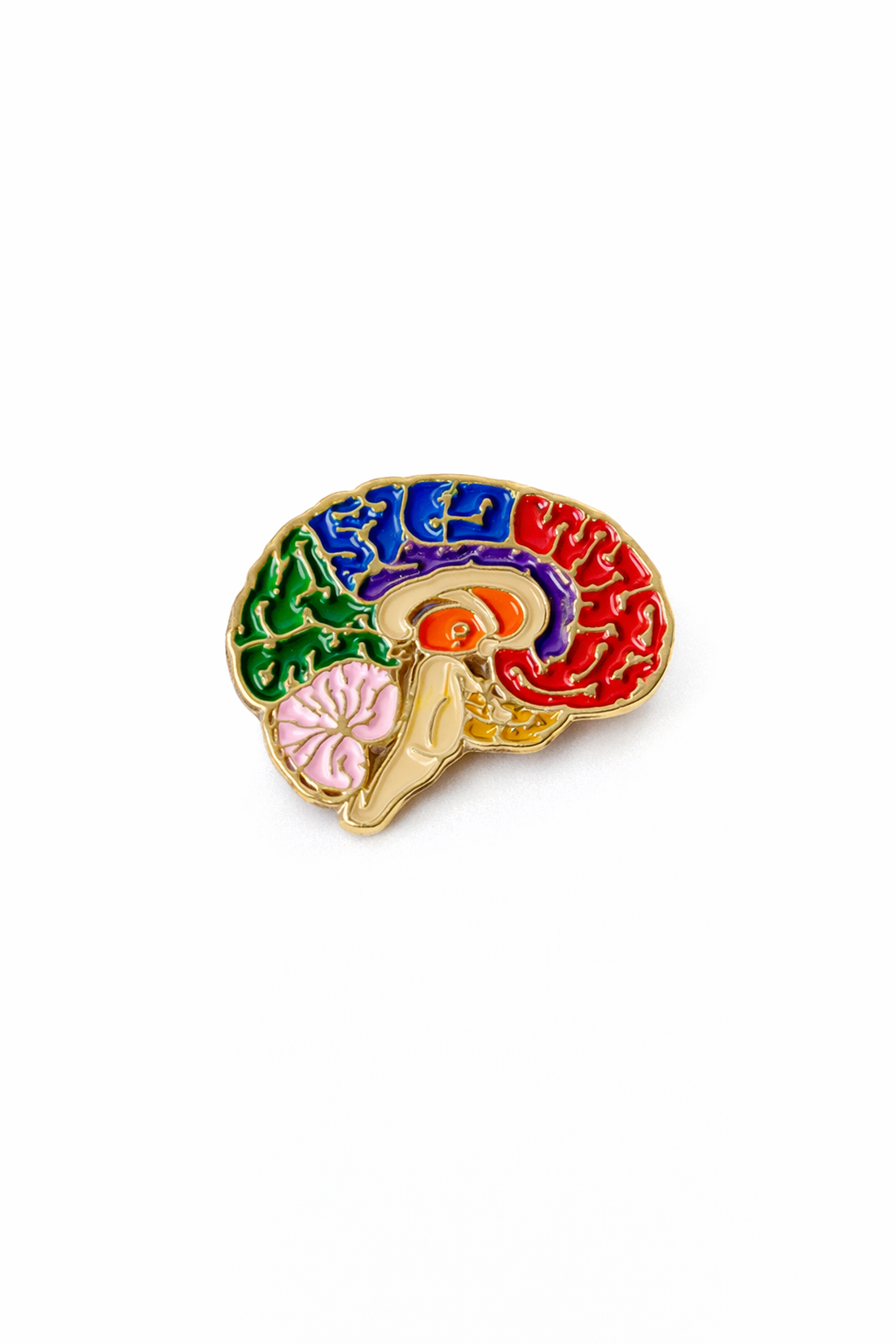 PIN CEREBRO COLORES