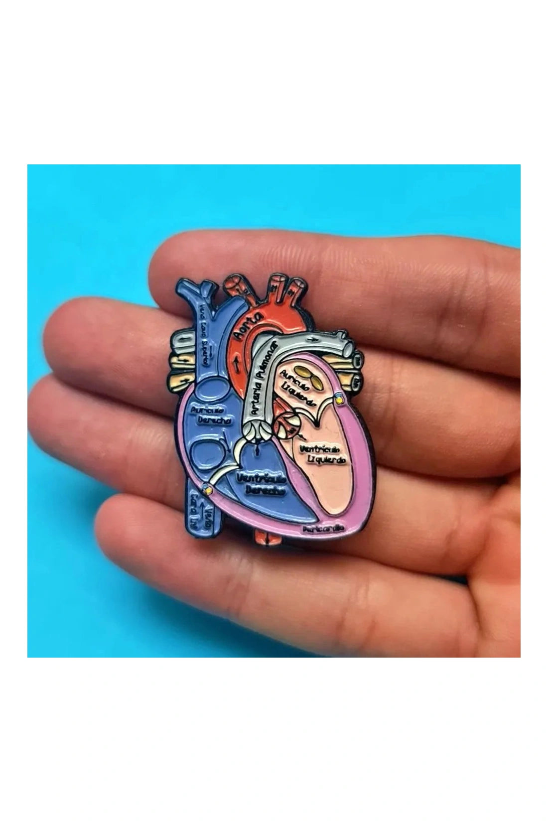 PIN CORAZON NETTER