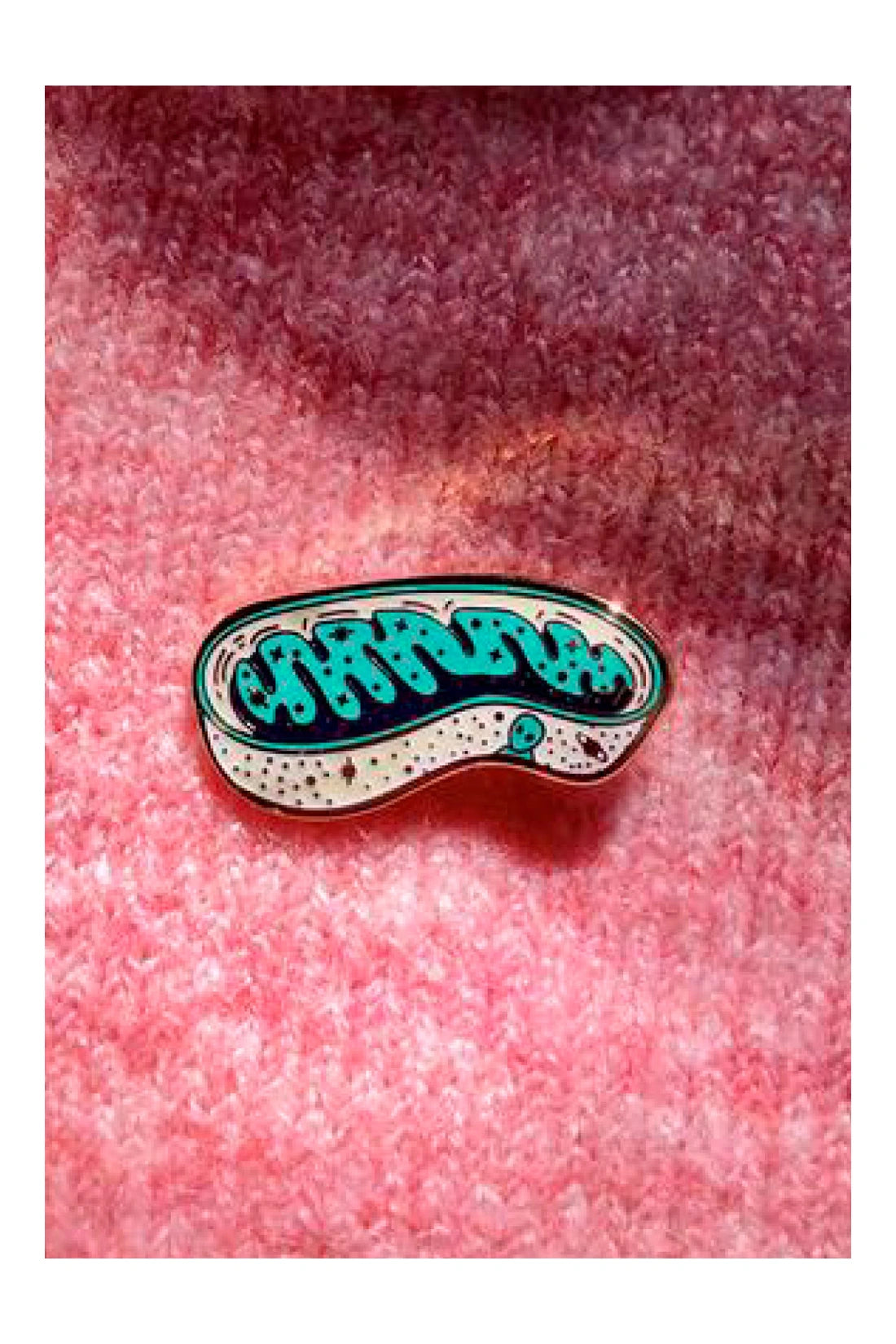 PIN MITOCONDRIA
