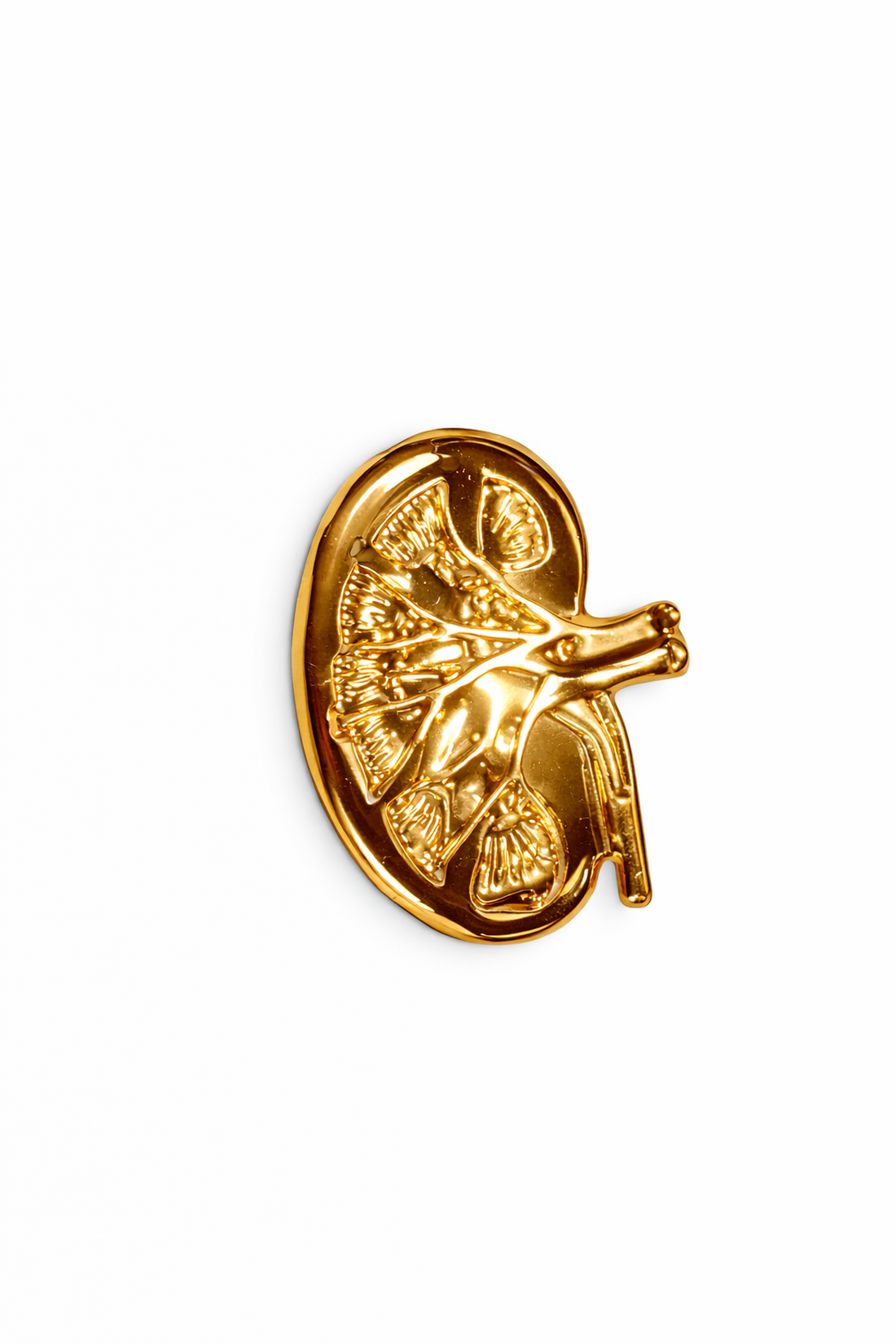 PIN RIÑON DORADO – Health Company