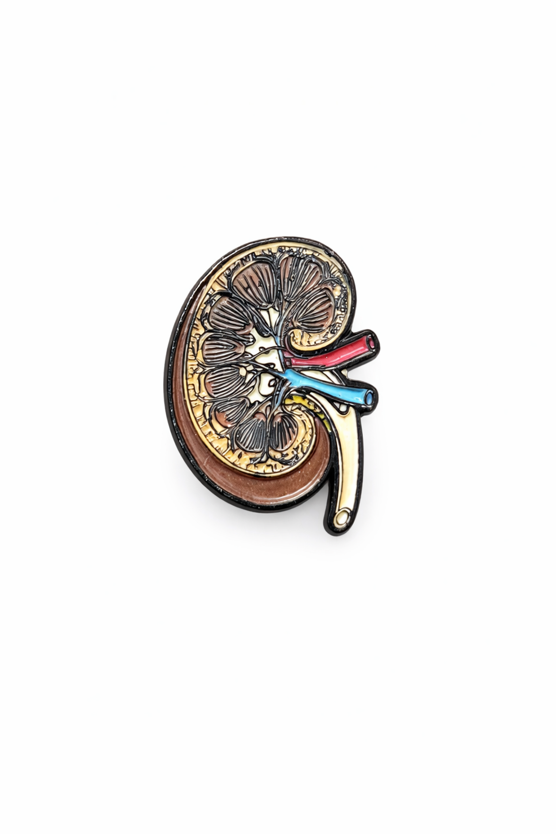 PIN RIÑON PREMIUM – Health Company