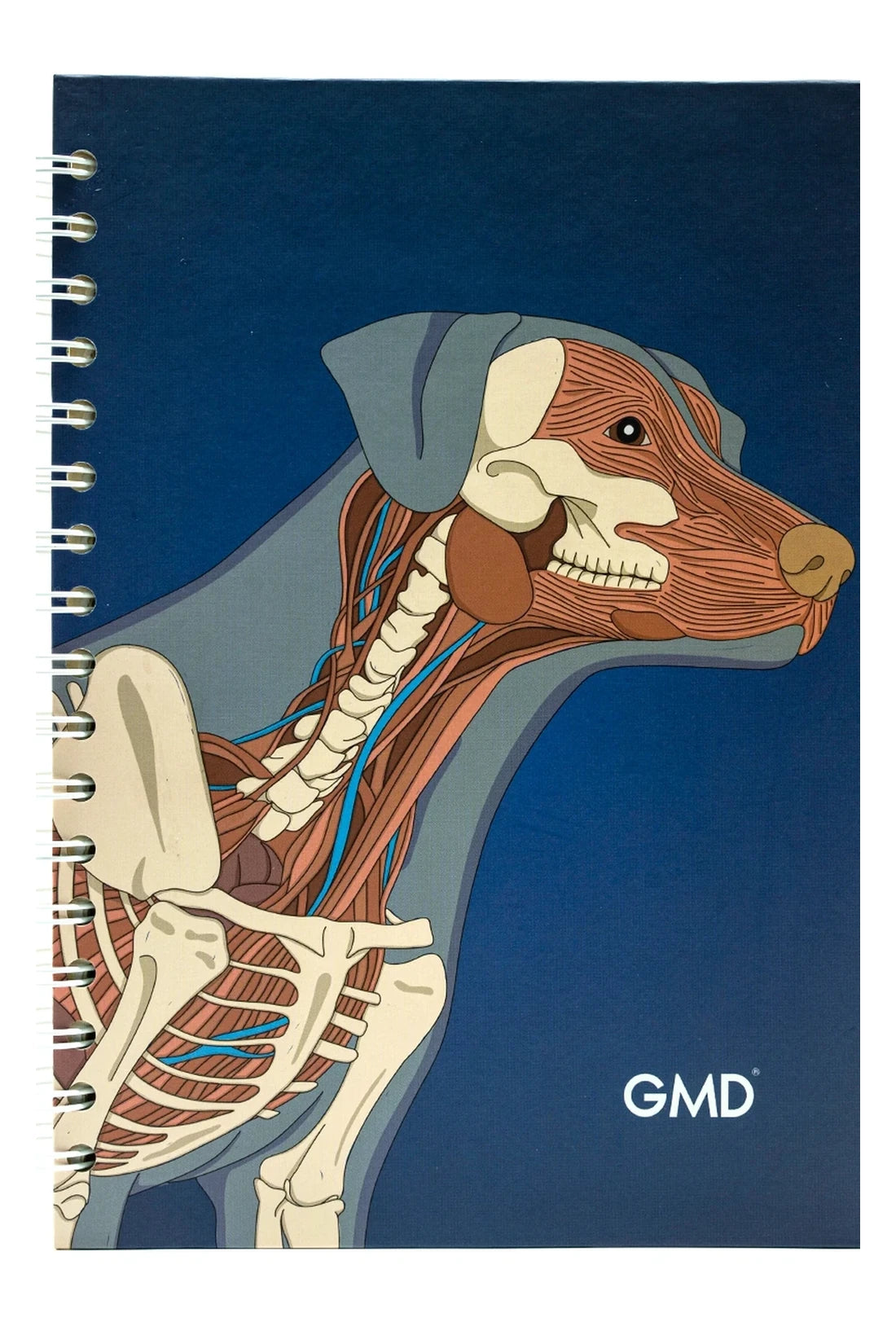 CUADERNO ARGOLLADO GMD PERRO ANATOMIA